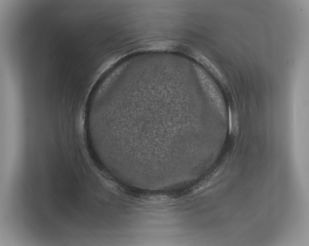 X0000111810483200908061118