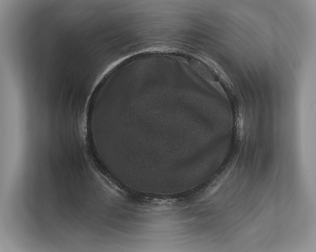 X0000111810484200908061118