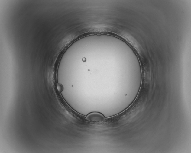 X0000111810485200908061118