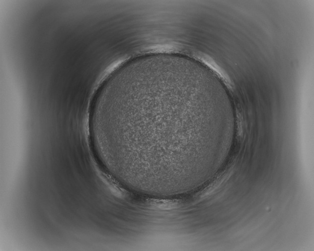 X0000111810486200908061118
