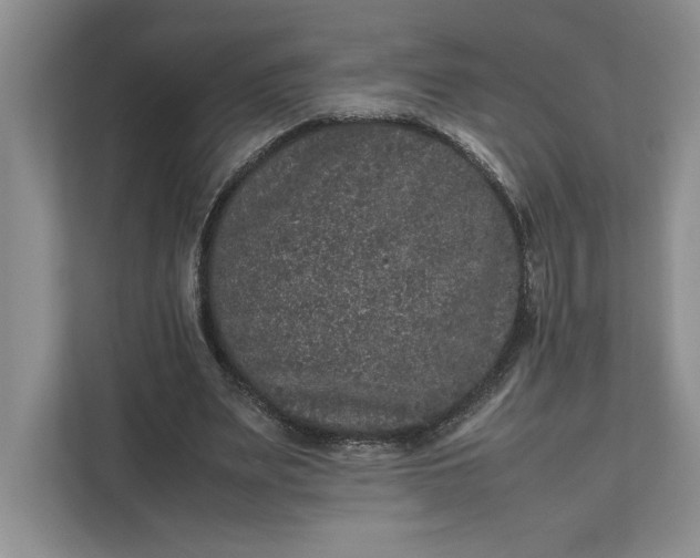 X0000111810487200908061118