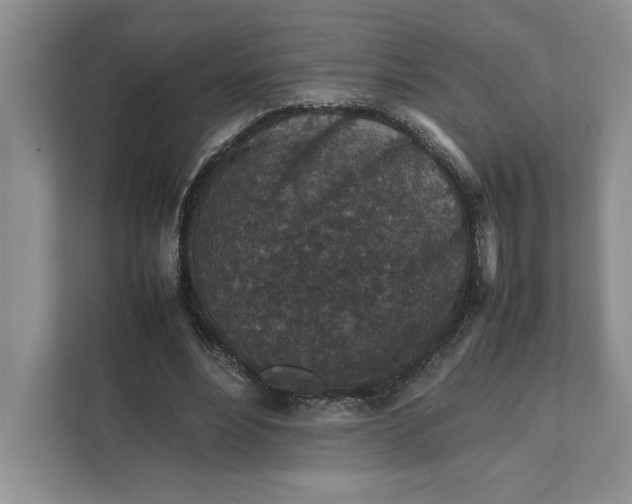 X0000111810488200908061118