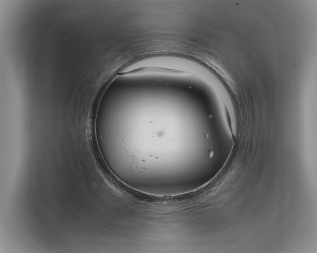 X0000111810489200908061118