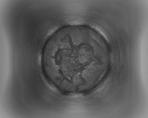 X0000111810491200908061118