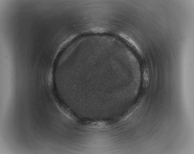 X0000111810492200908061118