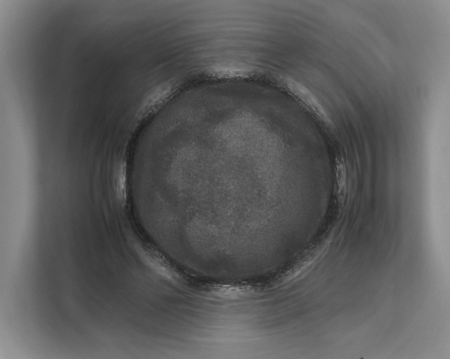 X0000111810494200908061118