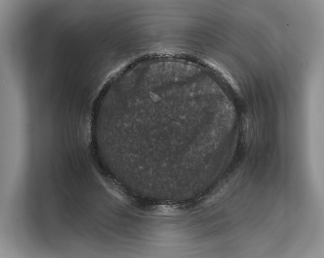 X0000111810496200908061118