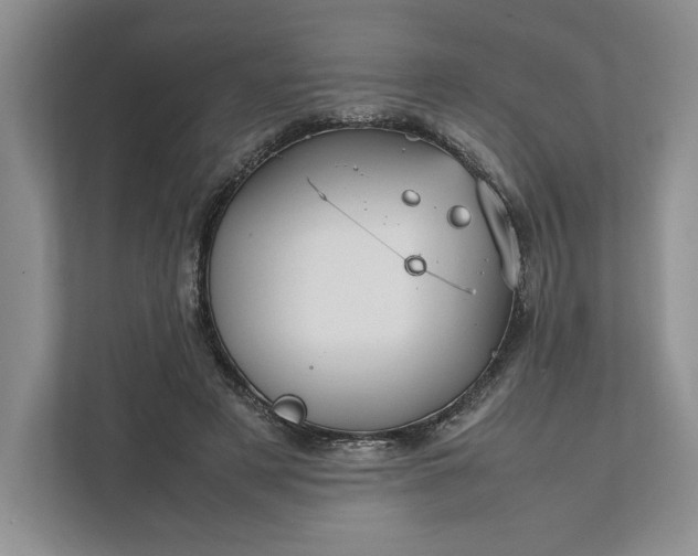 X0000111810497200908061118