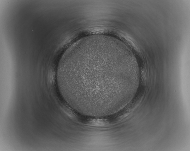 X0000111810499200908061118
