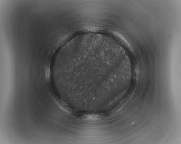 X0000111810500200908061118