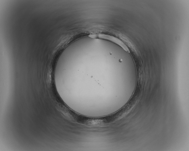 X0000111810501200908061118
