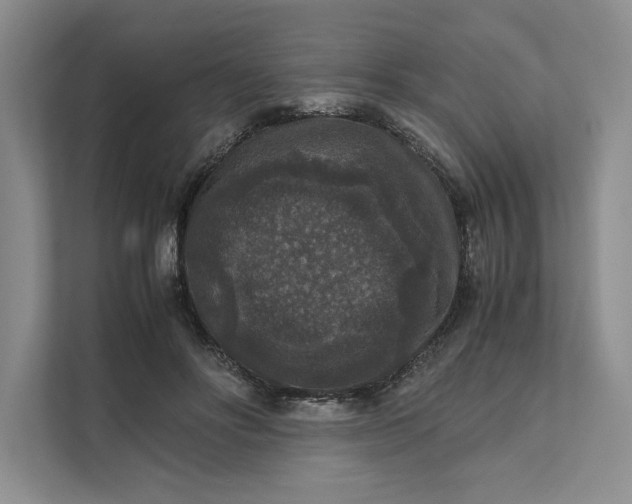 X0000111810502200908061118