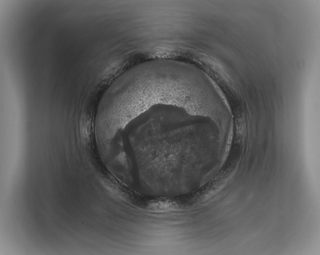 X0000111810503200908061118