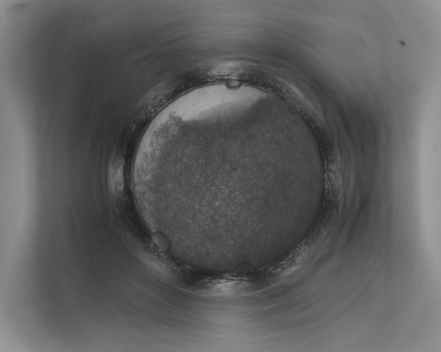 X0000111810504200908061118