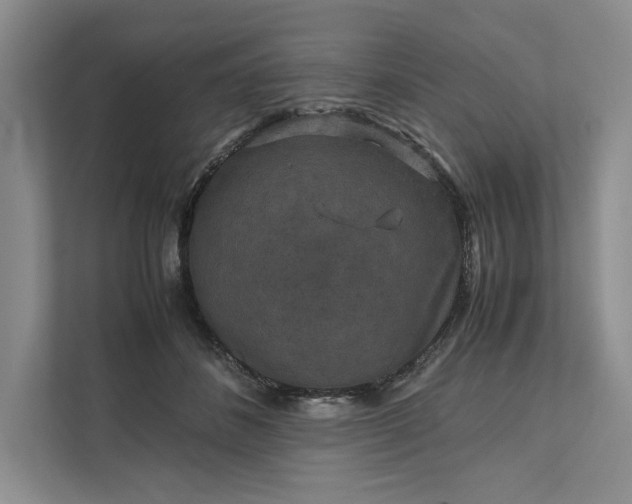 X0000111810508200908061118