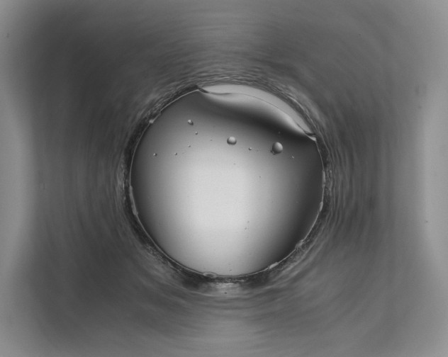 X0000111810509200908061118