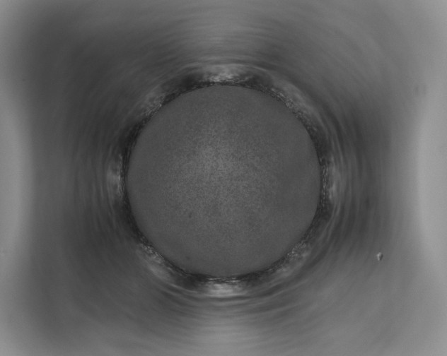 X0000111810510200908061118
