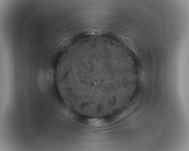 X0000111810511200908061118