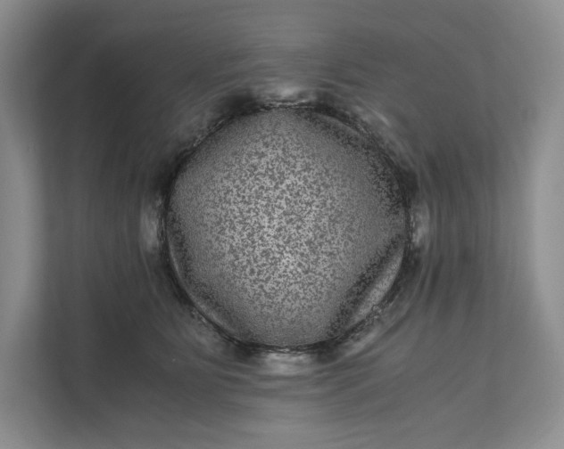 X0000111810515200908061118