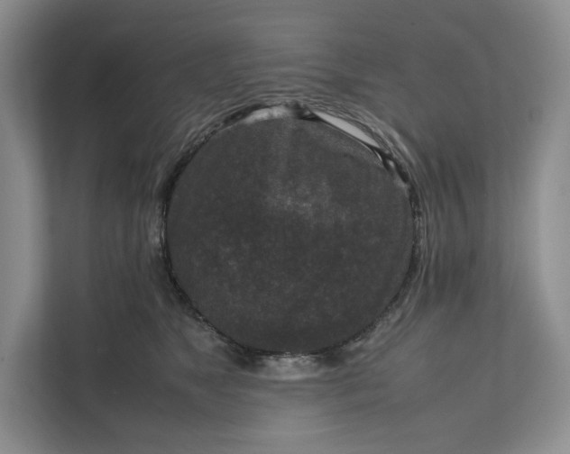 X0000111810517200908061118