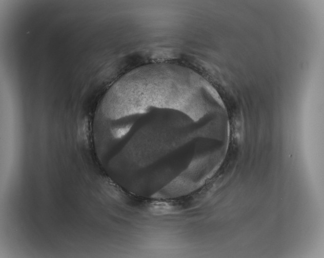 X0000111810519200908061118