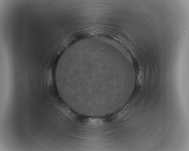 X0000111810520200908061118