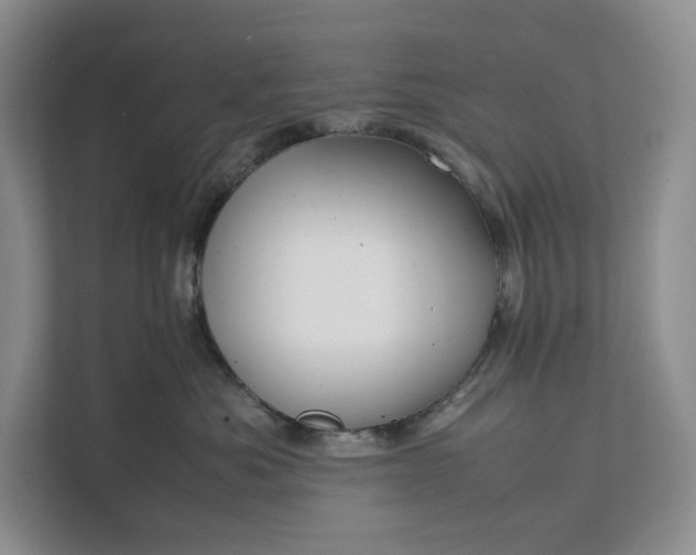 X0000111810525200908061118