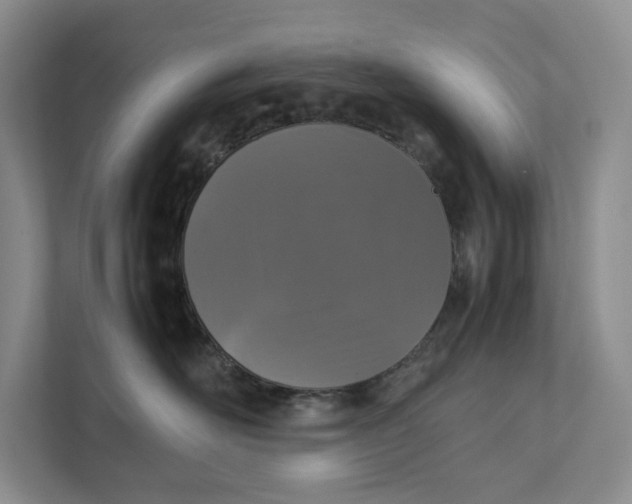 X0000111810526200908061118