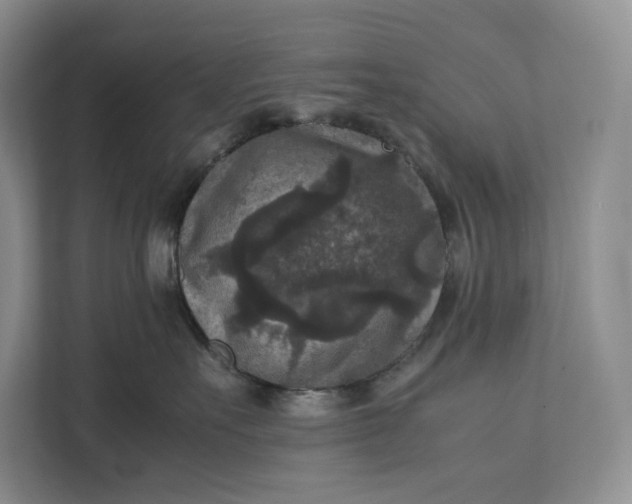 X0000111810527200908061118