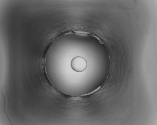 X0000111810528200908061118