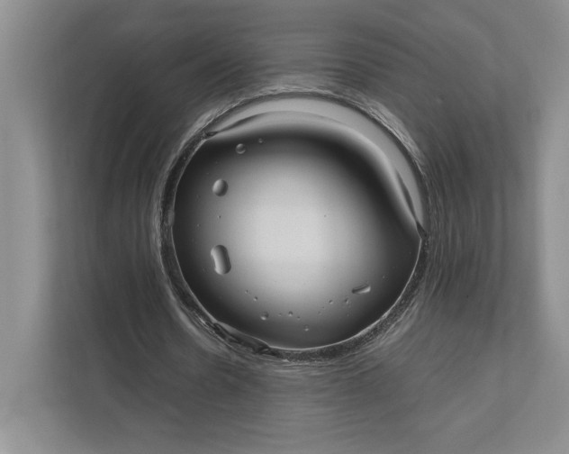 X0000111810530200908061117