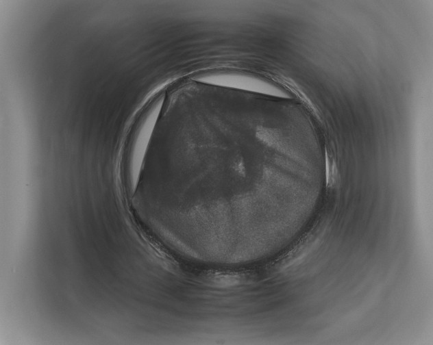X0000111810531200908061117