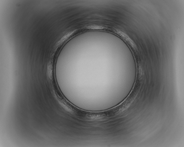 X0000111810533200908061117