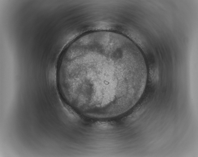 X0000111810534200908061117