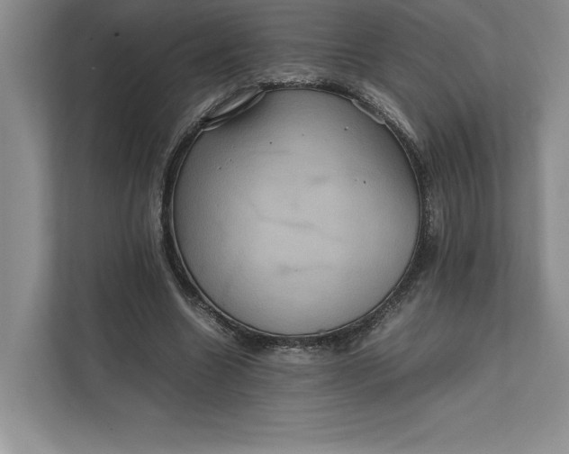 X0000111810538200908061117