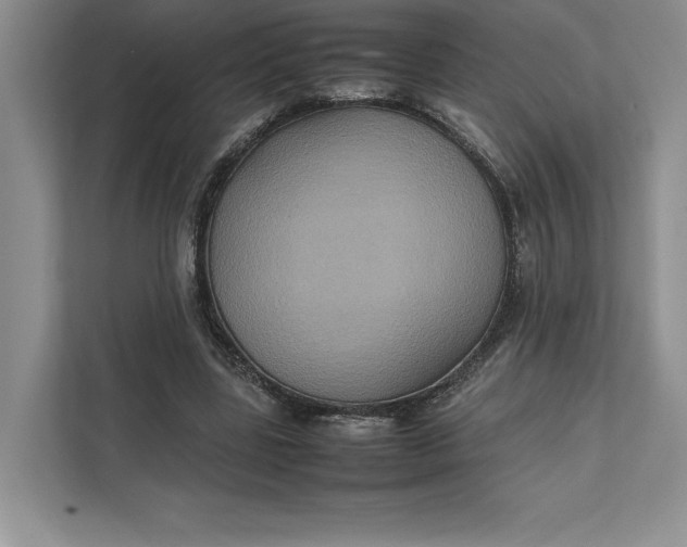 X0000111810539200908061117