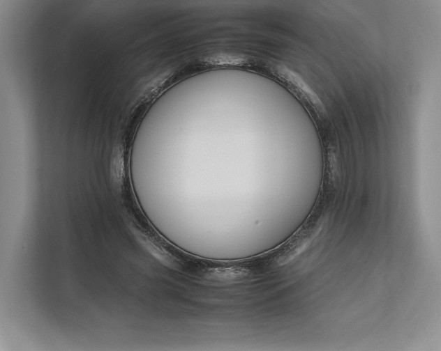 X0000111810541200908061117