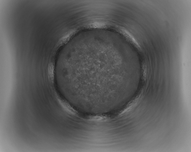 X0000111810542200908061117