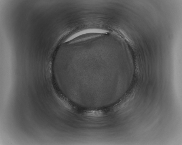 X0000111810543200908061117
