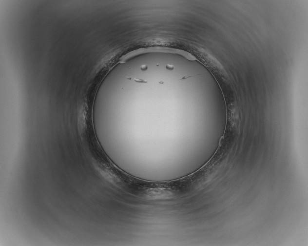 X0000111810544200908061117