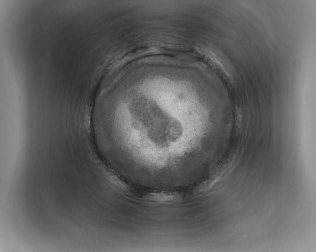 X0000111810545200908061117