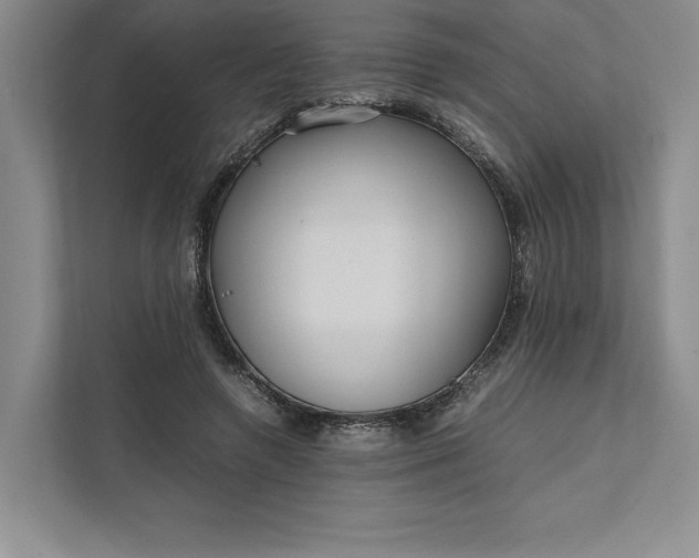 X0000111810546200908061117