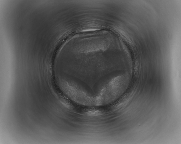 X0000111810547200908061117