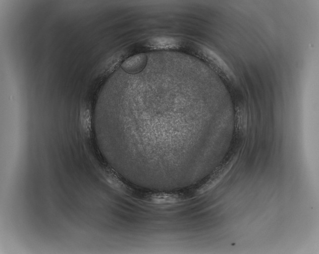 X0000111810549200908061117