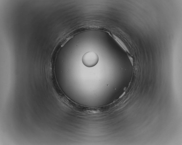 X0000111810552200908061117