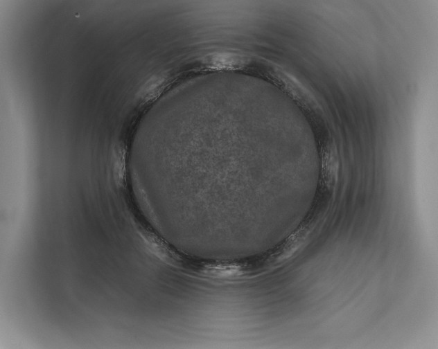 X0000111810554200908061117