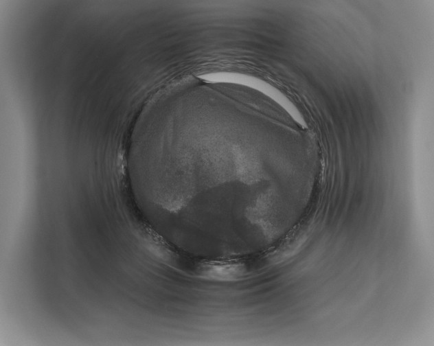 X0000111810555200908061117