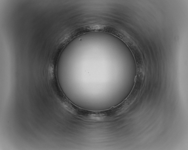 X0000111810556200908061117