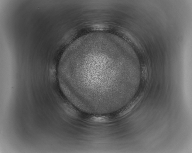 X0000111810557200908061117