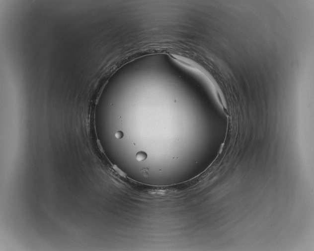 X0000111810558200908061117